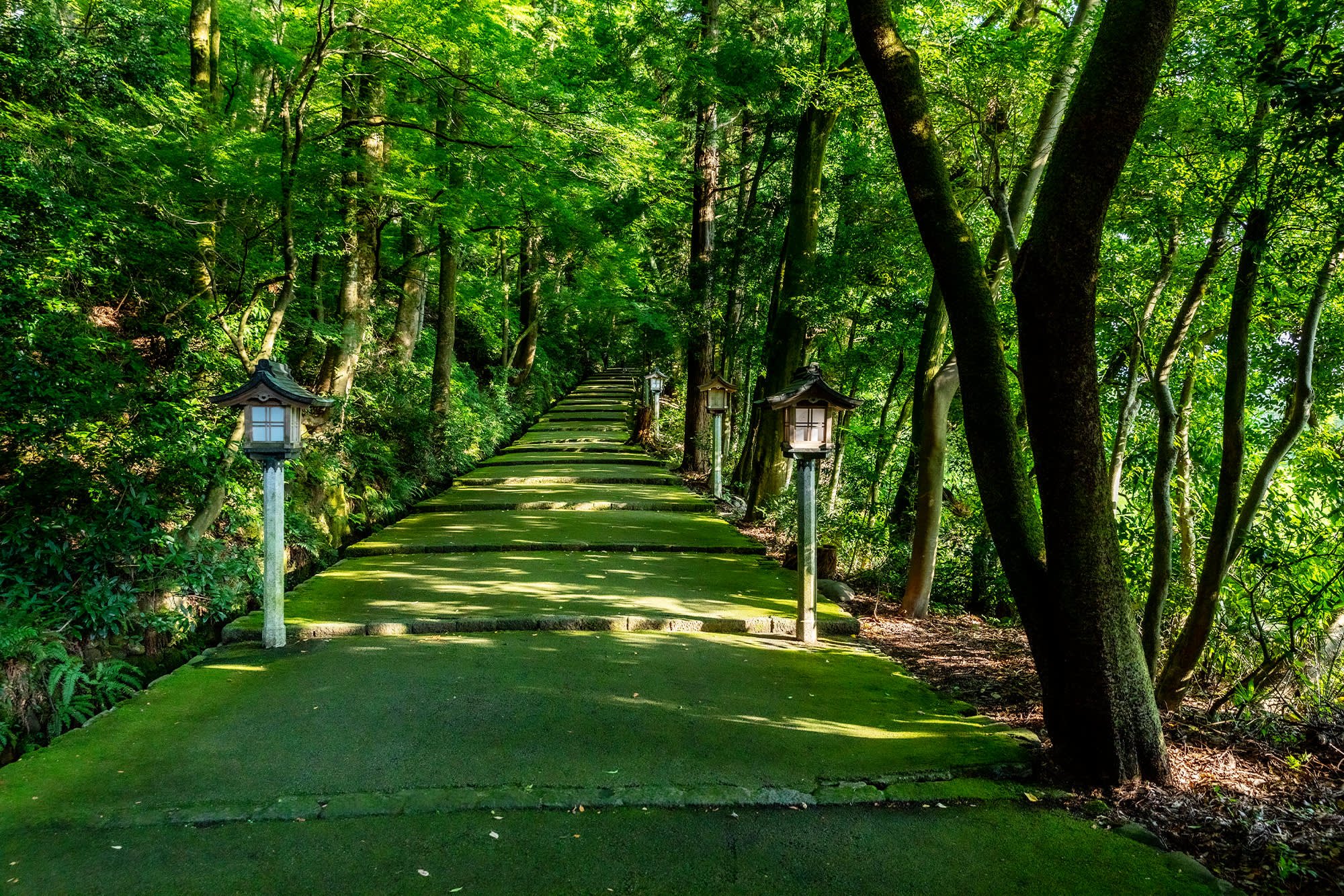 ⛩️ 시라야마 히메 신사 이미지 7